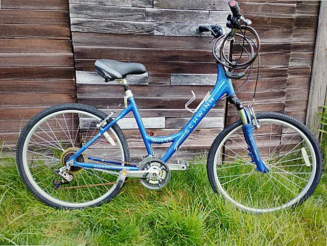 Schwinn Sierra GSL Bicycle with Comfortable Seat, Drink Holder, 3-Speed